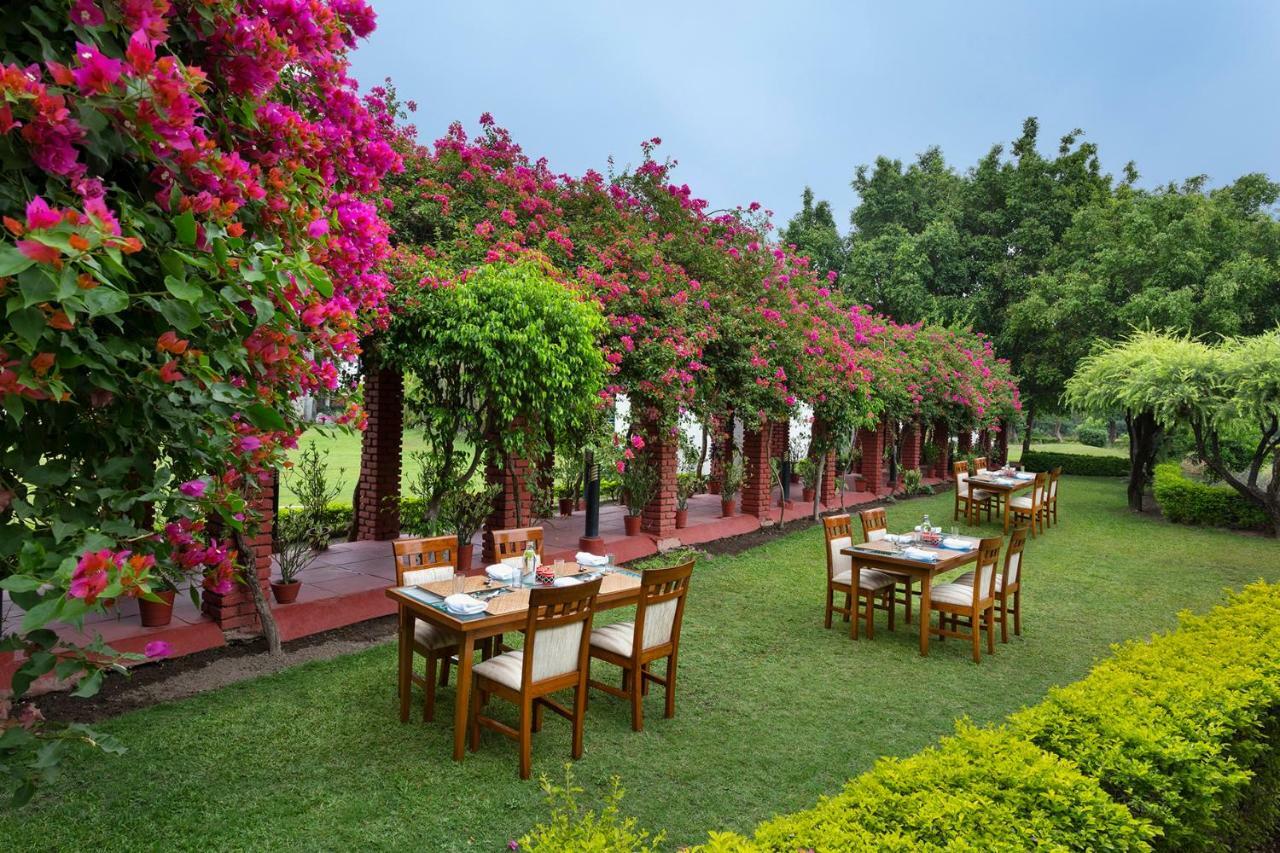 Naturoville Ayurvedic And Yoga Retreat Hotel Rishikesh Exterior photo